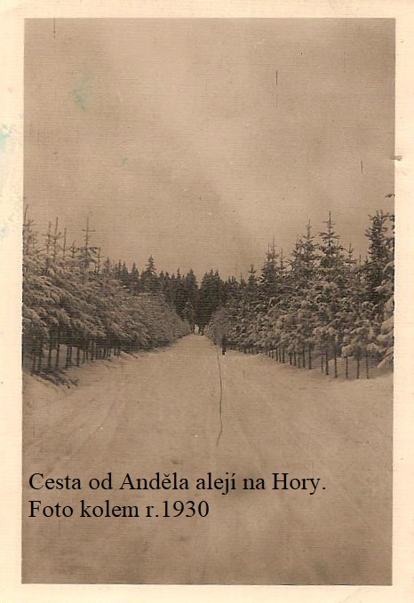 9FOTO2 001